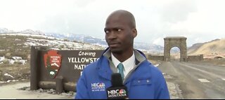 TRENDING: Reporter bails live shot after seeing bison