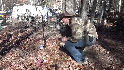 Setting Up Chicken Electric Fence ~ Homestead Life