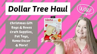 Large Dollar Tree Haul ~ Christmas Bag's & Boxes, Craft Supplies, Pet Toy's, Home Decor & More!