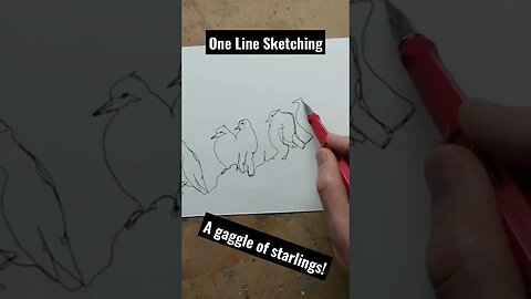 One Line Sketching - Making Starlings!