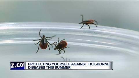Protecting yourself against tick-borne illnesses this summer