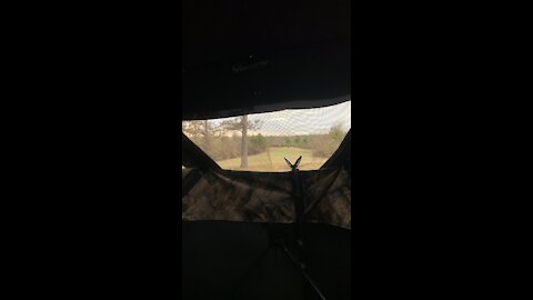 Hunting in Mississippi