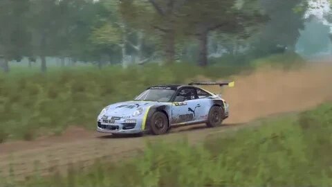 DiRT Rally 2 - Replay - Porsche 911 RGT Rally Spec at Borysik