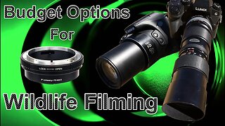 Budget Options for Wildlife Filming and Photography: Fotasy Lens Adapter