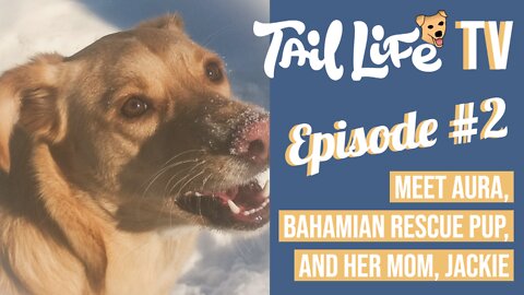 Episode #2 of Tail Life TV