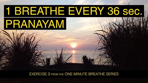 1 Breathe Every 36 Sec. Pranayam | Guided Meditation for Calmness & Mental Stability | Exercise 3