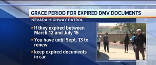 Grace period for expired DMV documents