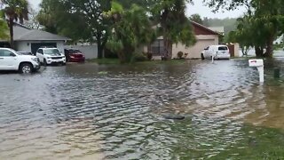 My new Waterfront Property in Orlando, Florida