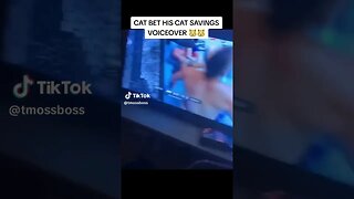 CAT BET HIS CAT SAVINGS ON THIS FIGHT VOICEOVER! 😂😂😂