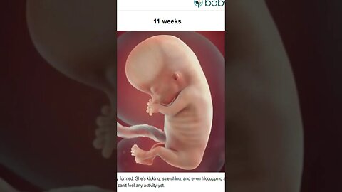 Fetus- NOT a Cluster of Cells (Its Actually a Baby)