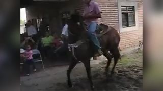 A Horse Dances Like A Professional Dancer