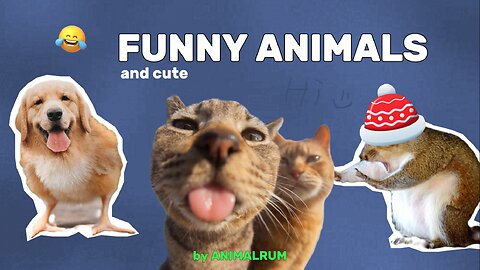 Funny and Cute Animals Compilation | Part 3