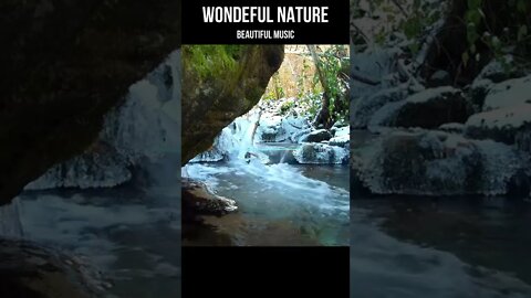 Wonderful Nature | Sounds of stream #shorts