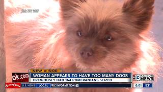 Alleged Pomeranian puppy mill operator continues to violate county code