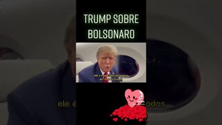Trump sobre Bolsonaro #bolsonaro #eleições2022 #bolsonaro2022 #trump #donaldtrump