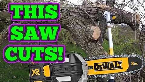 Testing Out The DeWALT 20V Pole Saw!