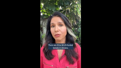 Tulsi Gabbard: There Are 25-30 U.S Funded Biolabs In Ukraine
