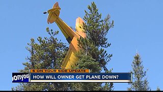 Crews working to remove plane from trees