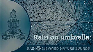 Soothing Rain Sounds on Umbrella for Relaxation Sleep Study Focus Meditation ASMR