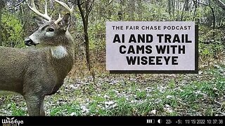 AI and Trail Cams with WiseEye