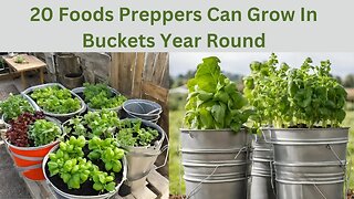 20 Foods Preppers Can Grow In Buckets Year Round
