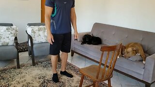 Exercício em casa: Como fazer Avanço na Cadeira | Exercise at home: How to do Chair Steps