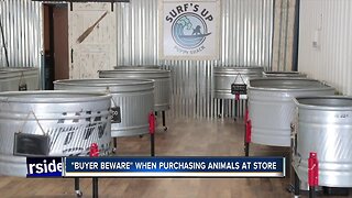 "Buyer Beware" when purchasing animals at retail locations