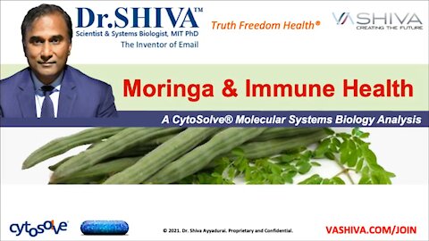 Why Moringa is Called the Tree of Life & How It Affects Immune System. CytoSolve Systems Analysis.