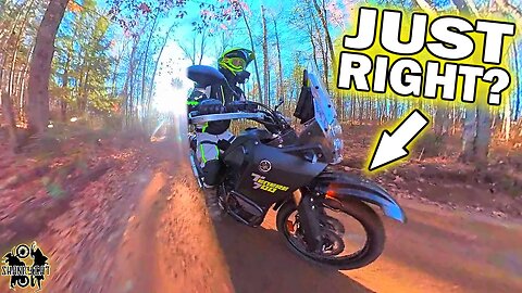 Is The Tenere 700 THAT Much Better Than The KLR 650 | Rough Trail Test