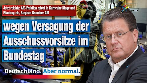 Jetzt reichts: AfD-Fraktion reicht in Karlsruhe Klage und Eilantrag ein, Stephan Brandner AfD