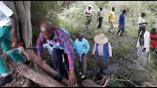 SOUTH AFRICA - KwaZulu-Natal - Crocodile terrorises villagers (Videos) (82p)