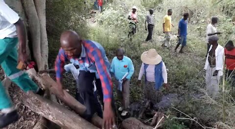 SOUTH AFRICA - KwaZulu-Natal - Crocodile terrorises villagers (Videos) (82p)