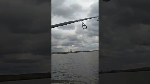 Catching 2 Big Bass on 2 poles at once pt 1!!