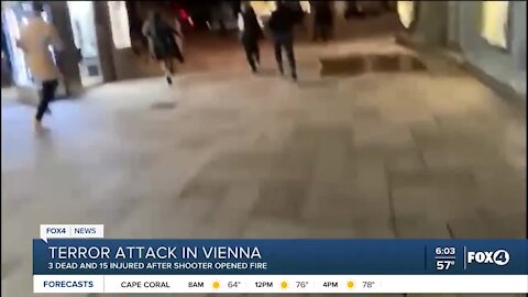 Shooting in Vienna Austria