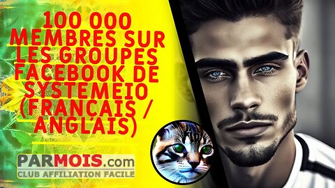 🥰 100 000 membres sur les groupes Facebook de SystemeIO (français / anglais)