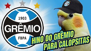 HINO DO GRÊMIO PARA CALOPSITAS