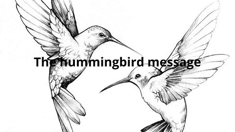 The hummingbird message