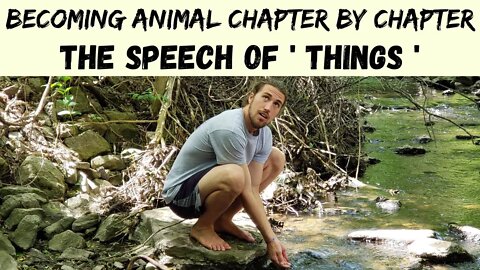 The Speech Of Things - Becoming Animal - Spiritual Ecology Course