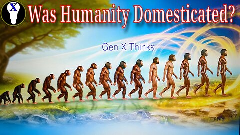 Was Humanity Domesticated?