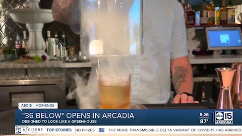 First look at 36 Below, a new underground cocktail bar, in Arcadia