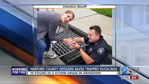 Harford County Officers saves trapped ducklings