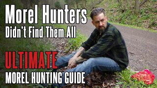 Finding Morels in Highly Hunted, Popular Spots | Foraging for Mushrooms in Appalachia