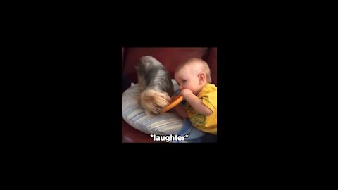 Funny Babies Falling Videos Cute Dog & Baby Compilation Viral Videos. ... Funny