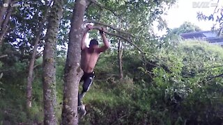 Le véritable Tarzan nous montre ses talents