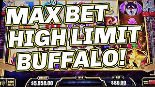 BUFFALO SLOT MADNESS! 🎰 MAX BETTING HIGH LIMIT BUFFALO GOLD & LUXURY LINE!