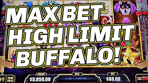 BUFFALO SLOT MADNESS! 🎰 MAX BETTING HIGH LIMIT BUFFALO GOLD & LUXURY LINE!