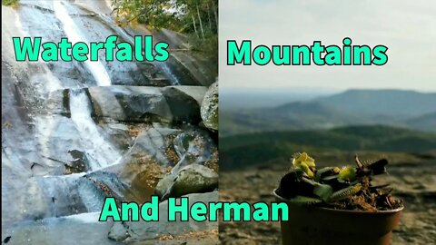 I Took my Flytrap Hiking | Stone Mountain | North Carolina | Blueridge Parkway | Hiking Vlog