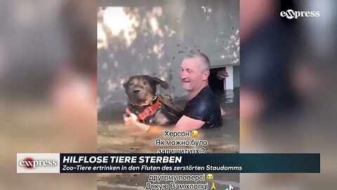 Zoo-Tiere ertrinken in den Fluten des zerstörten Staudamms