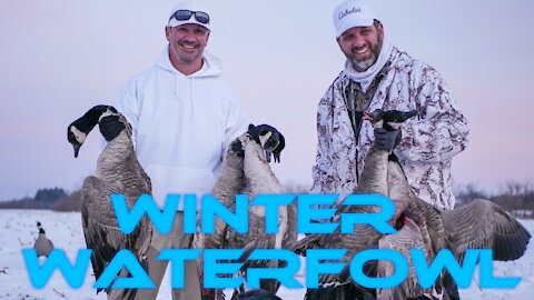 Late Season Goose Hunting | Winter Waterfowl