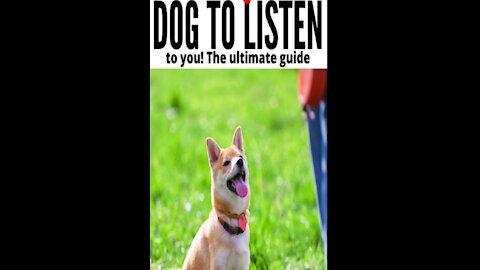 #DogTraining #DogTraining #Top10EssentialCommands 🐕 Basic Dog Training –